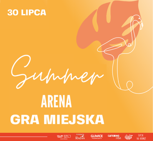Summer Arena Fiesta l Gra miejska: Fantastyczne flamenco! Niedziela