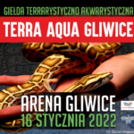 Giełda Akwarystyczno Terrarystyczna: Terra Aqua Gliwice.